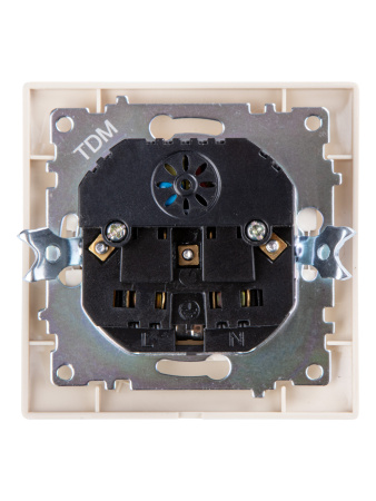 Розетка 2П+З 16А 250В + 2 USB порта 2,1А 5В сл.кость "Лама" TDM