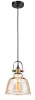 Подвесной светильник 1*E27 40Вт Черный IP20 Irving T163-11-R Maytoni