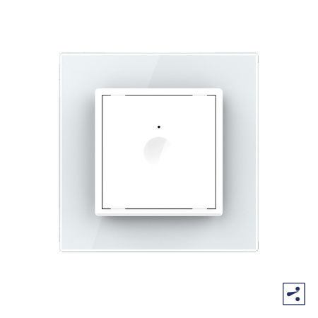 Одноклавишный проходной сенсорный выключатель Module, цвет белый Livolo