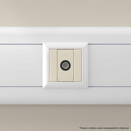 Розетка TV проходная модульная, "Avanti", "Ванильная дымка", 1 модуль DKC