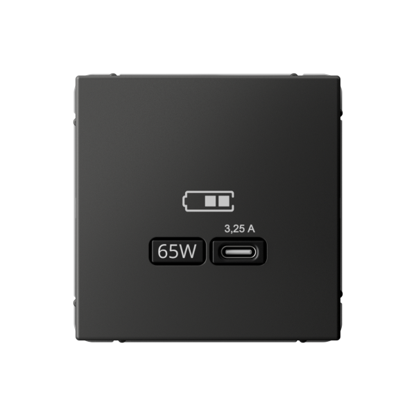 ARTGALLERY USB РОЗЕТКА тип-С 65Вт высокоскор.заряд. QC, PD, механизм, БАЗАЛЬТ Systeme Electric ARTGALLERY USB РОЗЕТКА тип-С 65Вт высокоскор.заряд. QC, PD, механизм, БАЗАЛЬТ Systeme Electric