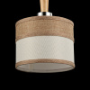 Подвесной светильник 1*E27 40Вт Хром IP20 Helen FR5329-PL-01-CH Freya