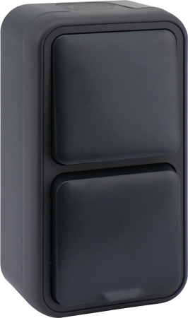 Donel WP55 двойной блок накл. Роз.с защ.крышк.,+Переключатель 1-кл., антрацит, IP55, серия (тип) DIP55