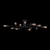 Потолочный светильник 12*E27 60Вт Черный IP20 Gilbert T532CL-12B Maytoni