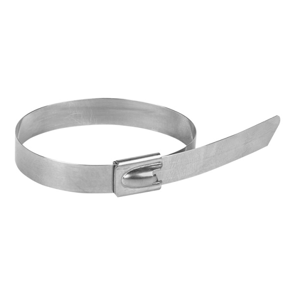 Хомут AISI 304 из нержавеющей стали, 7,9x200 (10 шт) FlexLock PROxima EKF