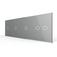 Панель для четырех сенсорных выключателей, 5 клавиш (1+1+1+2), цвет серый, стекло Livolo