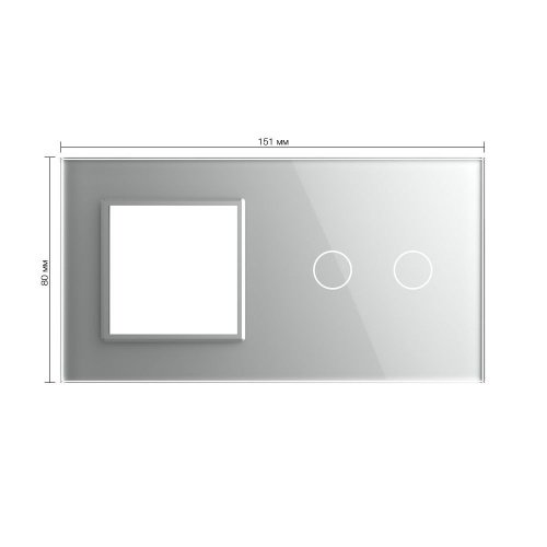 Панель для розетки и сенсорного выключателя, 2 клавиши, цвет серый, стекло Livolo фото 2