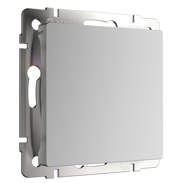 Заглушка (серебряный) СУ IP20 Werkel