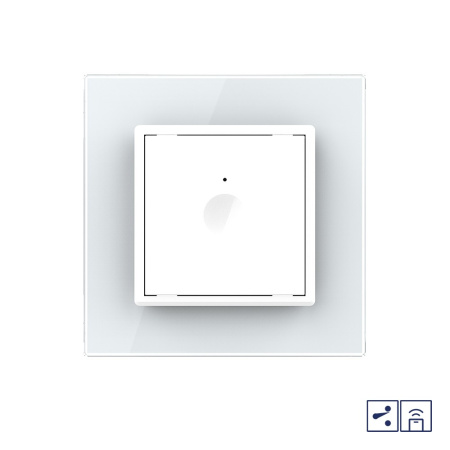 Одноклавишный проходной сенсорный выключатель Module с функцией радиоуправления, цвет белый Livolo