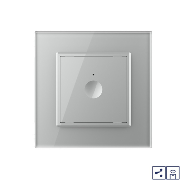 Одноклавишный проходной сенсорный выключатель Module с функцией радиоуправления, цвет серый Livolo