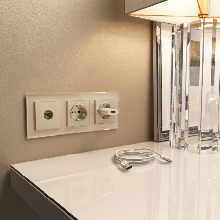 Favorit Рамка на 3 поста (шампань) Werkel