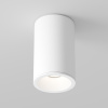 Потолочный светильник 1*GU10 50Вт Белый IP65 Ceiling & Wall C029CL-01-S-W Technical Maytoni