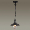 Ландшафтный подвес E27 1*60W IP44 CAMPA черный/стекло ODEON LIGHT Ландшафтный подвес E27 1*60W IP44 CAMPA черный/стекло ODEON LIGHT