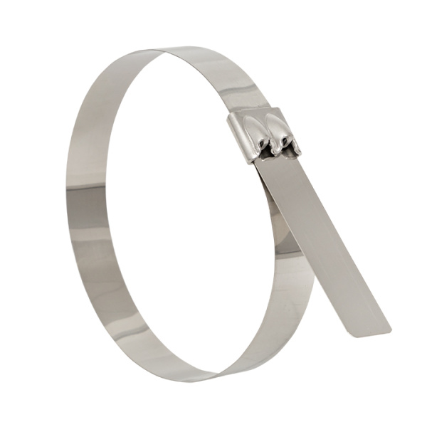 Хомут AISI 316 из нержавеющей стали, 12x680 (100 шт) FlexLock PROxima EKF