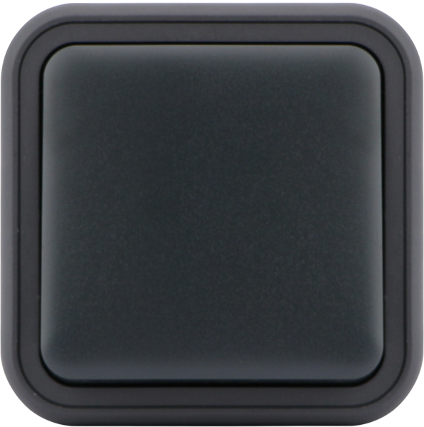 Donel W55 Переключатель 1-кл. накладной, антрацит, IP55, серия (тип) DIP55