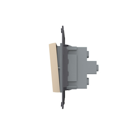 Двухклавишный механический выключатель, цвет золотой (механизм) Livolo