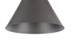 Подвесной светильник 1*E27 60Вт Черный IP20 Bicones P359-PL-220-C Maytoni