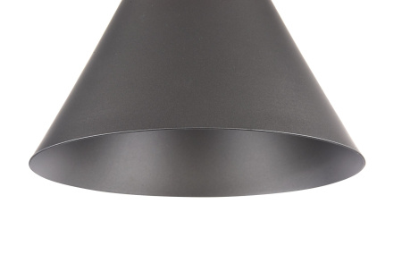 Подвесной светильник 1*E27 60Вт Черный IP20 Bicones P359-PL-220-C Maytoni