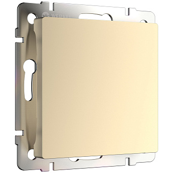 Заглушка (шампань) СУ IP20 Werkel