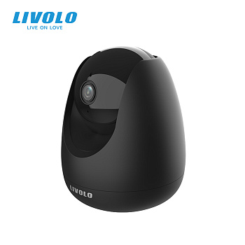 Камера видеонаблюдения ZigBee Livolo
