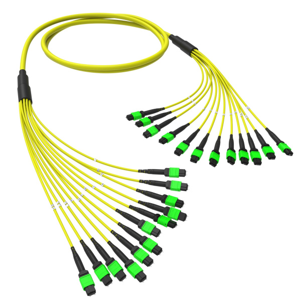 Оптическая магистральная сборка 144 ОВ 9/125 OS2, 12xMTP(12)m/12xMTP(12)m, тип В, 30 м DKC