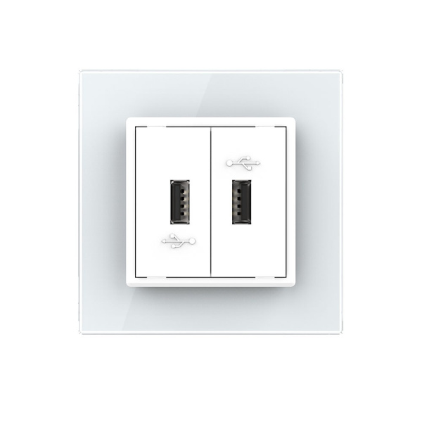 Розетка USB с блоком 5В 2.1А двойная Белая Livolo