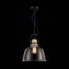 Подвесной светильник 1*E27 40Вт Черный IP20 Irving T163PL-01W Maytoni