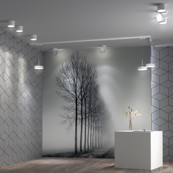 Св-к трековый,провод 1.2м IP20 LED 30W 4000K 2600Лм 100-265V белый PROMETA NOVOTECH