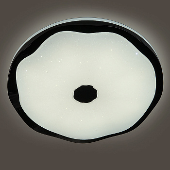 Светильник св/д 80W(5540lm) 2000/4000/6000K 490x450x85 пульт ДУ Smart79 Black lagoon General