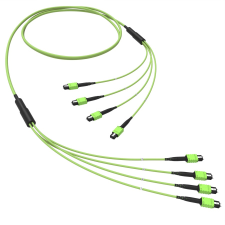 Оптическая магистральная сборка 48 ОВ 50/125 OM5, 4xMTP PRO(12)m/4xMTP PRO(12)m, тип В, 50 м DKC