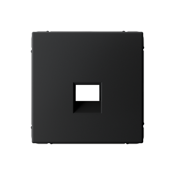 ARTGALLERY НАКЛАДКА для информационных функций типа Keystone, КАРБОН Systeme Electric