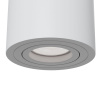 Потолочный светильник 1*GU10 50Вт Белый IP20 Alfa C016CL-01W Technical