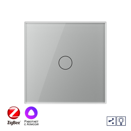 Одноклавишный проходной умный сенсорный диммер Livolo ZigBee, 1 пост, Серый VL-C701SD2Z-2IG