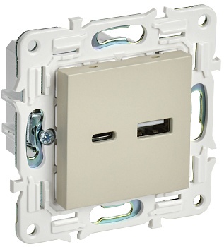 SKANDY Розетка USB A+C 3,1А SK-R14B бежевый IEK