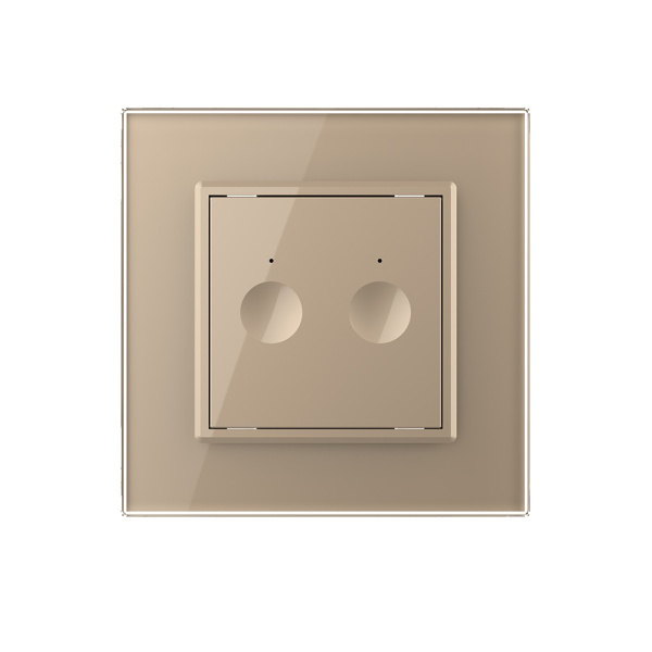 Двухклавишный сенсорный выключатель Module, цвет золотой Livolo