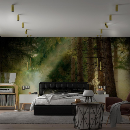 Св-к накл.IP20 GU10 50W 220V MAIS золото NOVOTECH