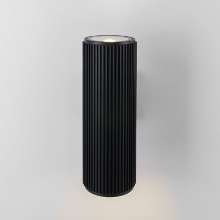 Уличный настенный светильник 2*E27 черный IP54 Strict (a033490) Elektrostandard