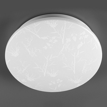 Светильник потолочный с/д GSMCL-020-12 Plant 12Вт 6500K 780Лм 190*218x55мм без пульта (800259) (1/20) General