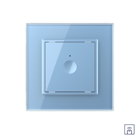 Одноклавишный сенсорный выключатель Module с функцией радиоуправления, цвет синий Livolo