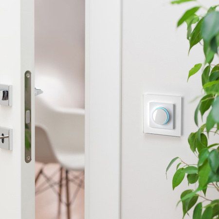 Диммер с подсветкой (белый) СУ IP20 Werkel