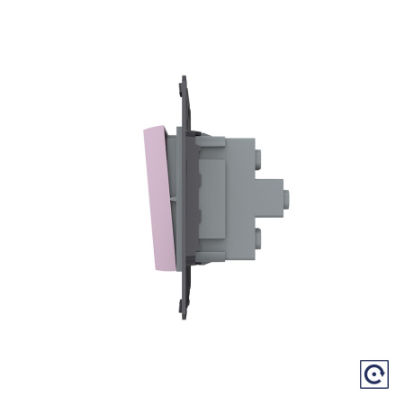 Двухклавишная механическая кнопка (звонок), цвет розовый (механизм) Livolo