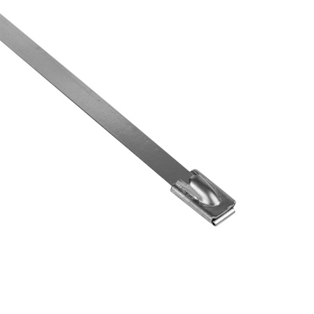Хомут AISI 304 из нержавеющей стали, 4,6x200 (10 шт) FlexLock PROxima EKF