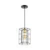 Подвес E27 1*60W 220V RUPERT черный,золотой LUMION