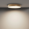 Потолочный светильник LED 45Вт Матовое Золото IP20 Ceiling & Wall C032CL-45W4K-RD-MG Technical Maytoni