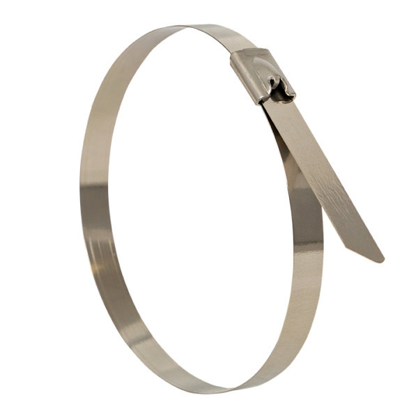 Хомут AISI 304 из нержавеющей стали, 4,6x150 (100 шт) FlexLock PROxima EKF