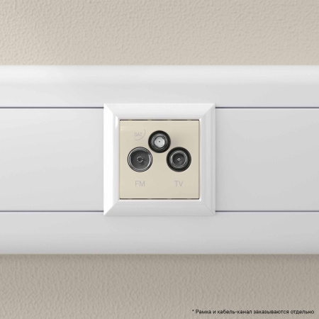 Розетка TV-FM-SAT модульная, "Avanti", "Ванильная дымка", 2 модуля DKC