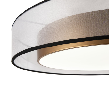 Потолочный светильник LED 48Вт Золото IP20 Zoticus FR6005CL-L48G Freya