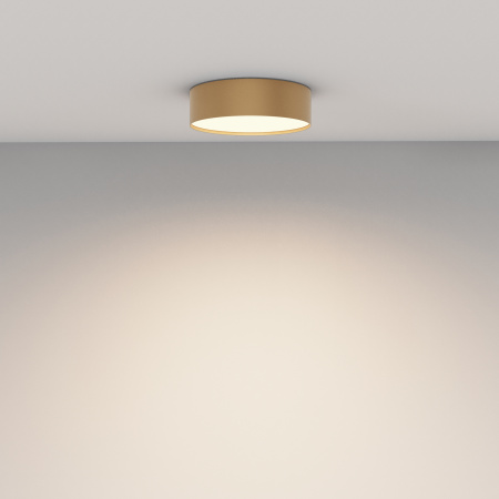 Потолочный светильник LED 24Вт Матовое Золото IP20 Ceiling & Wall C032CL-24W3K-RD-MG Technical Maytoni