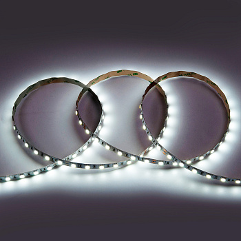 Лента светодиодная GLS-5050-60-14.4-24-IP20-PRM-6 General