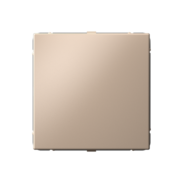 ARTGALLERY ЗАГЛУШКА без суппорта для многопостовых рамок, ПЕСОЧНЫЙ Systeme Electric